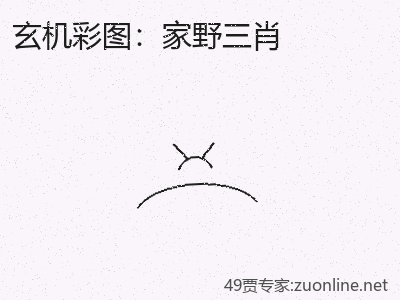 推荐3